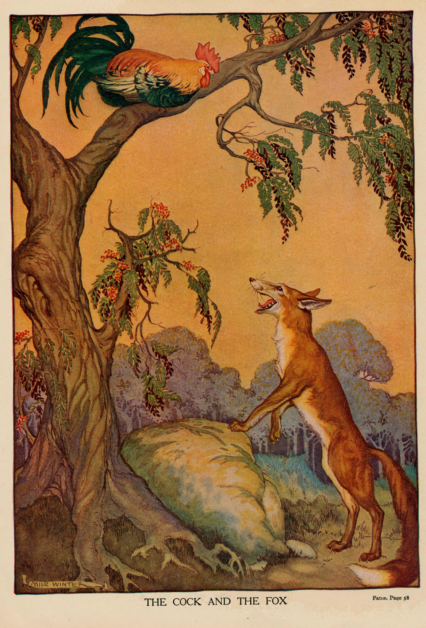The Cock And The Fox By Milo Winter, 1919.