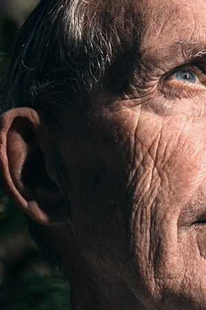 Katherine Wilson reviews ‘Defiance: Stories from nature and its defenders’ by Bob Brown