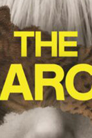 Susan Midalia reviews ‘The Bearcat’ by Georgia Rose Phillips