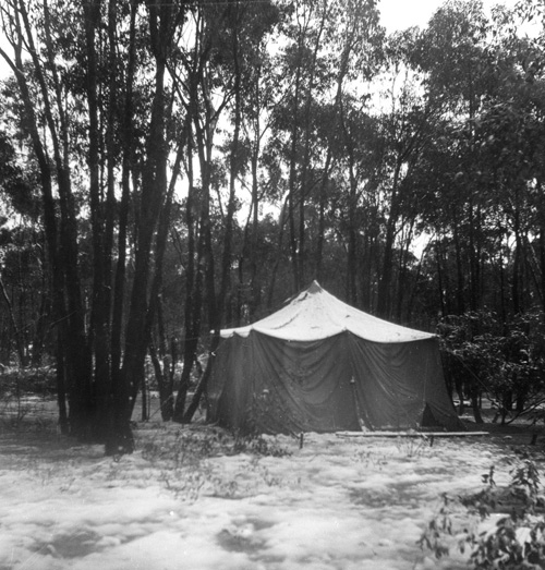 Tent---cropped