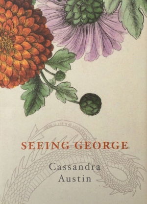 Gaylene Perry reviews ‘Seeing George’ by Cassandra Austin, ‘Backwaters’ by Robert Engwerda and ‘Paint’ by John Honey