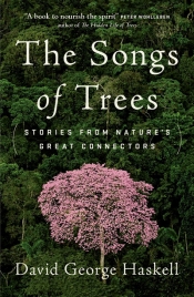 Roger McDonald reviews 'The Songs of Trees: Stories from nature’s great connectors' by David George Haskell