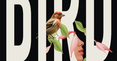 Laura Elizabeth Woollett reviews ‘Bird’ by Courtney Collins