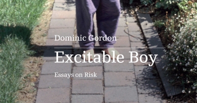 Michael Winkler reviews ‘Excitable Boy: Essays on risk’ by Dominic Gordon