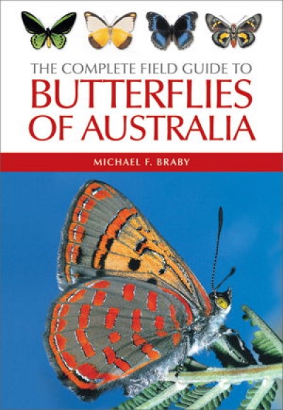 Peter Menkhorst reviews ‘The Complete Field Guide to Butterflies of Australia’ by Michael F. Braby