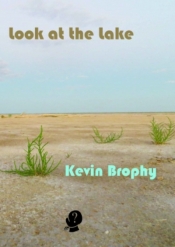 Joan Fleming reviews 'Look at the Lake' by Kevin Brophy