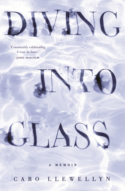 Astrid Edwards reviews &#039;Diving into Glass: A memoir&#039; by Caro Llewellyn