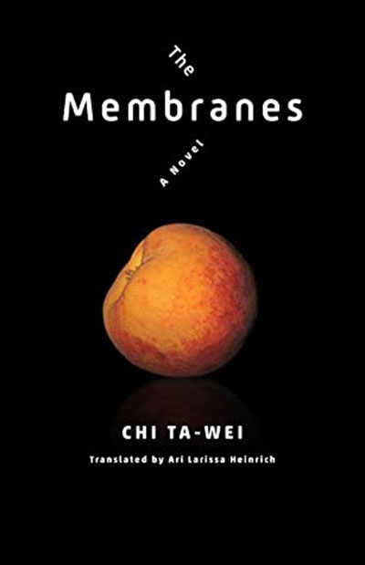 Josh Stenberg reviews ‘The Membranes: A novel’ by Chi Ta-wei, translated by Ari Larissa Heinrich