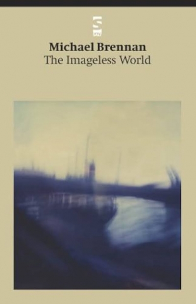 David McCooey reviews ‘The Imageless World’ by Michael Brennan