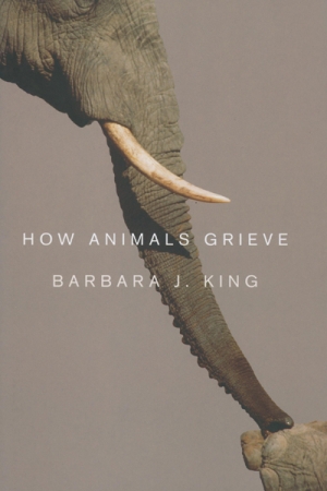 Rebecca Giggs reviews &#039;How Animals Grieve&#039; by Barbara J. King