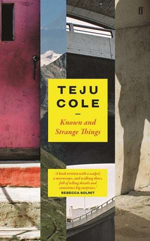 Sujatha Fernandes reviews &#039;Known and Strange Things&#039; by Teju Cole