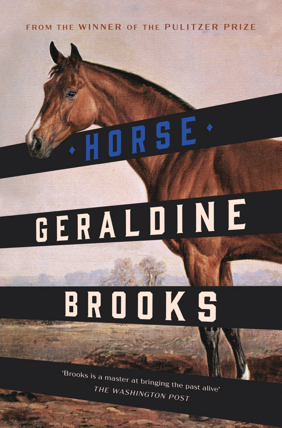 review of horse by geraldine brooks