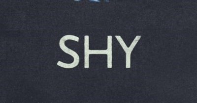 Diane Stubbings reviews &#039;Shy&#039; by Max Porter